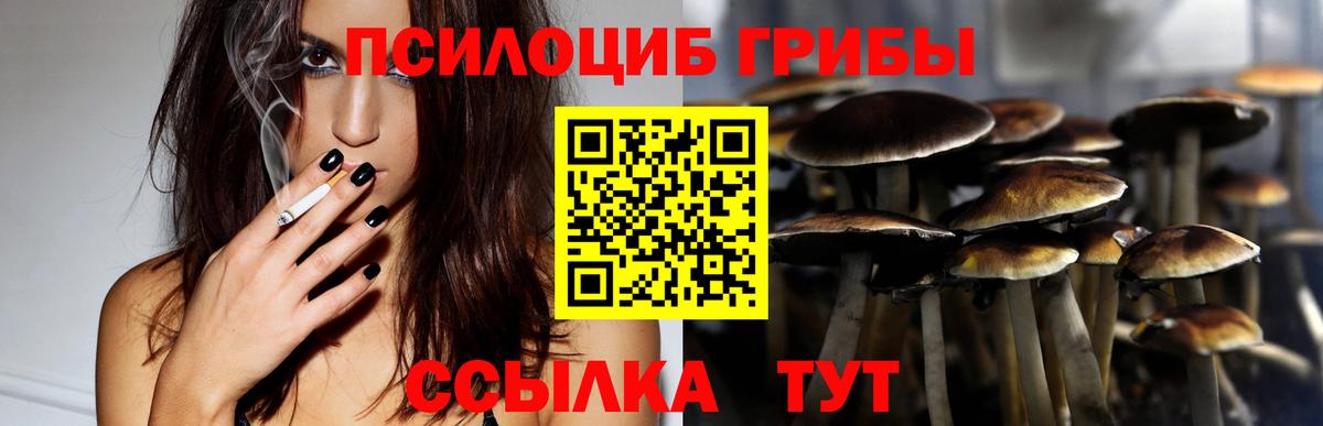 Галлюциногенные грибы ЛСД  Псилоцибиновые грибы Magic Shrooms  Вход с VPN  купить наркотик  Новокубанск 