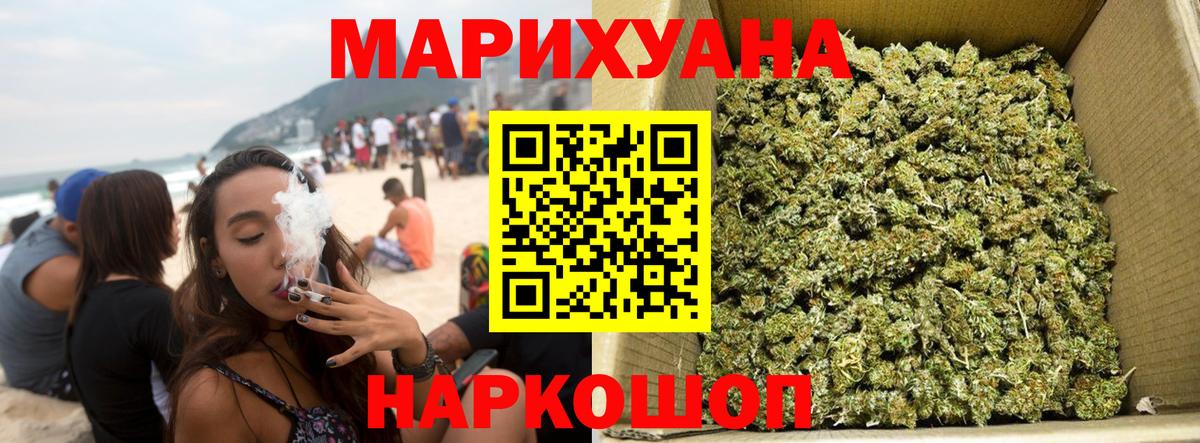 Каннабис индика Новокубанск